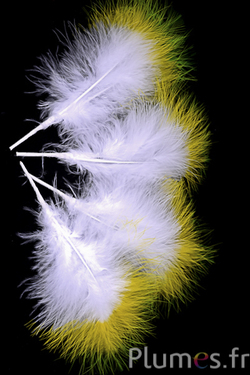 Plumet 3 plumes - hauteur 20 cm - blanc-jaune-lime